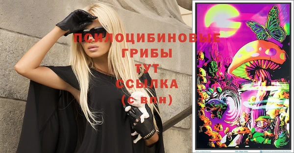 ALPHA-PVP Богородицк